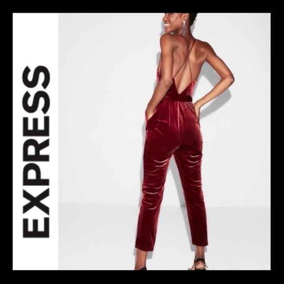 NWT Express Belted Velvet Jumpsuit - Picture 3 of 7